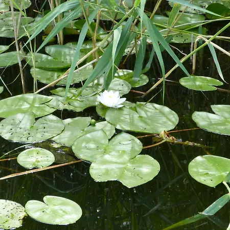 Apartmán Jano - Residenz Am *